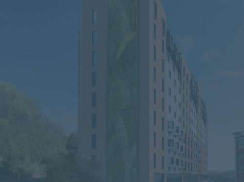 Bridging Testimonial Image